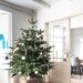 green christmas tree with baubles near white wooden framed glass door