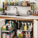 kitchen sink organization